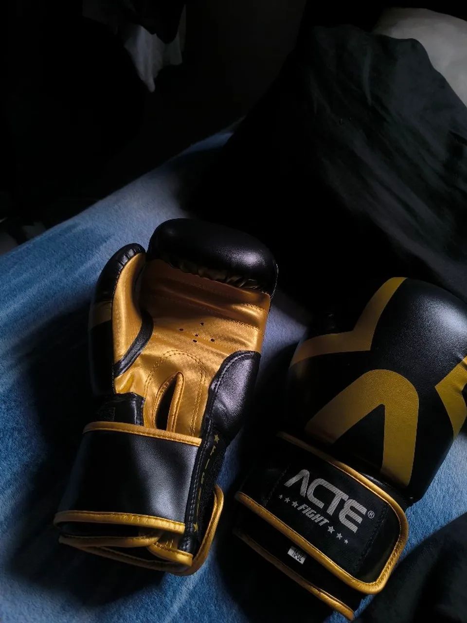 Luva de muay thai e boxe 