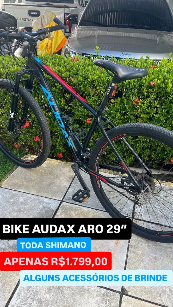 Bike Audax 29