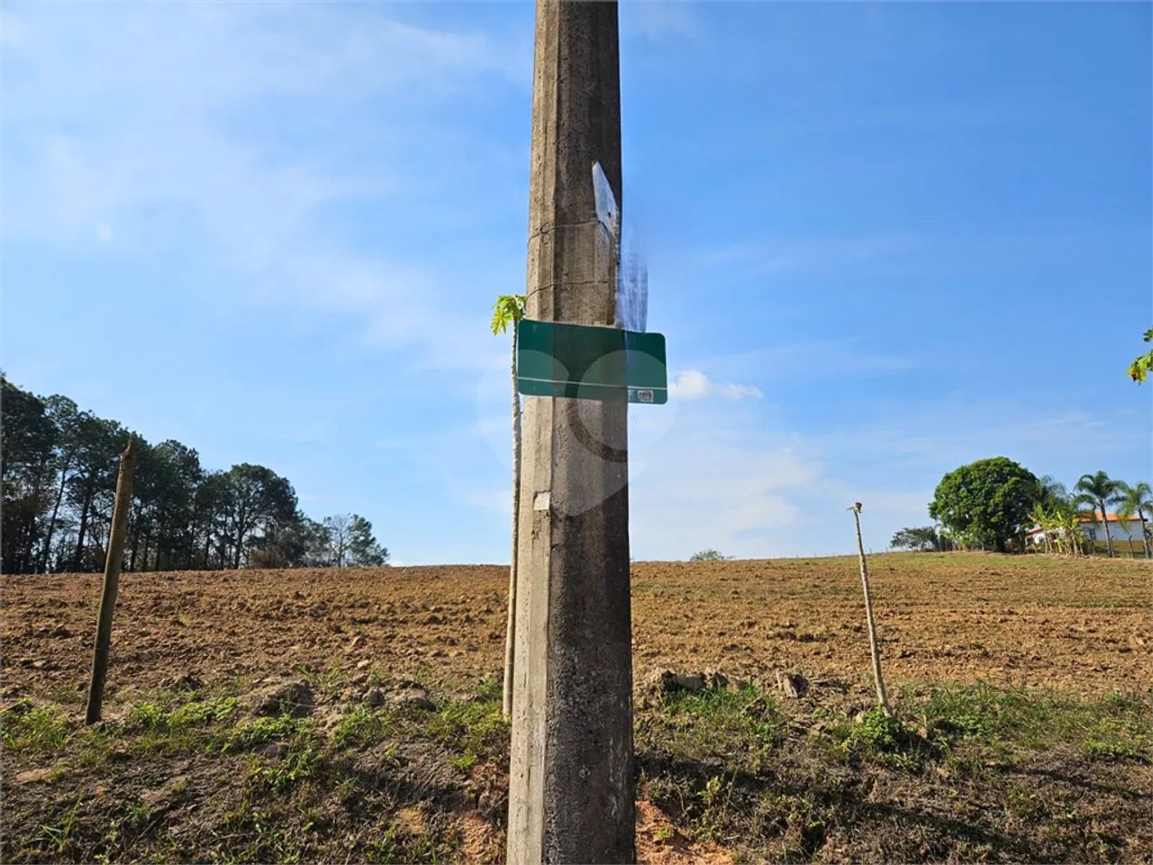 Sitio com 3.000 pés de uvas - Foto 5