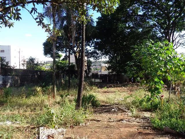 Terreno Área em Uberlândia - Foto 3