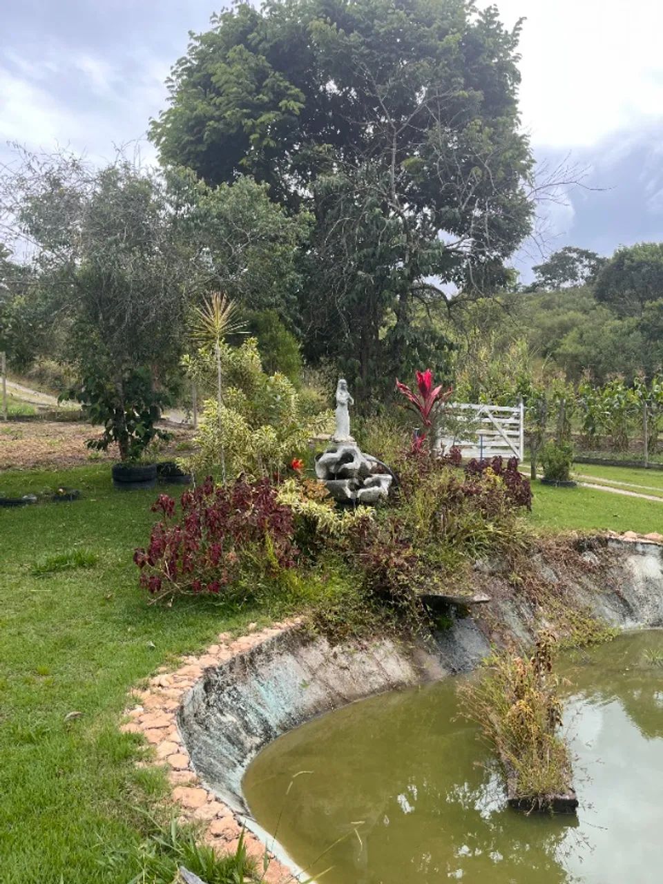 Aluguel de Sitio em Moeda-MG  - Foto 5