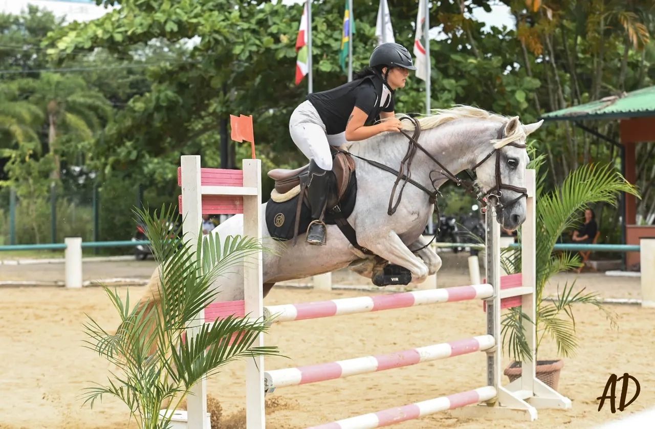 Égua SRD - Foto 3