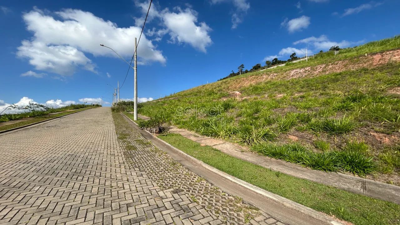 Lote / Terreno - São Pedro - Foto 3