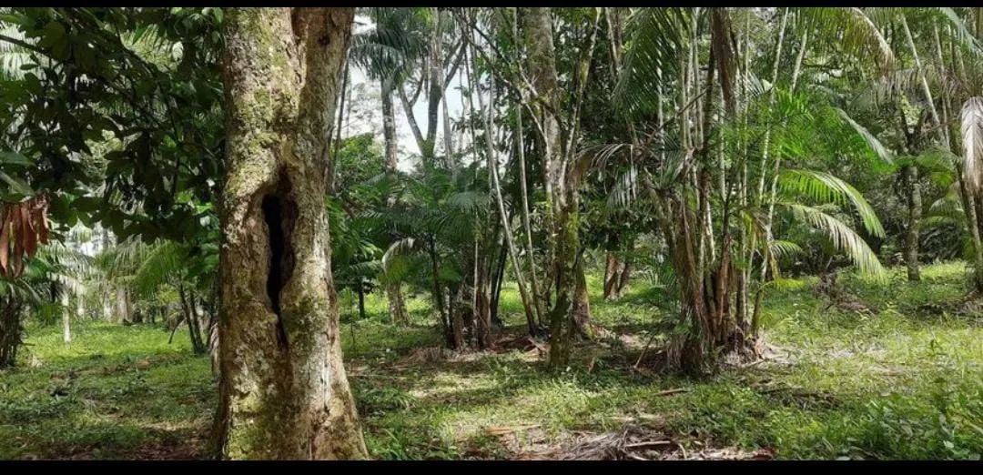 Vendo terreno em Marituba 
