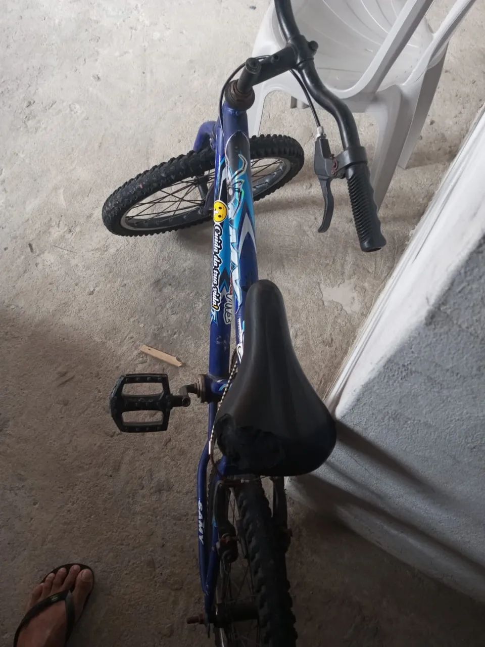 Bicicleta 