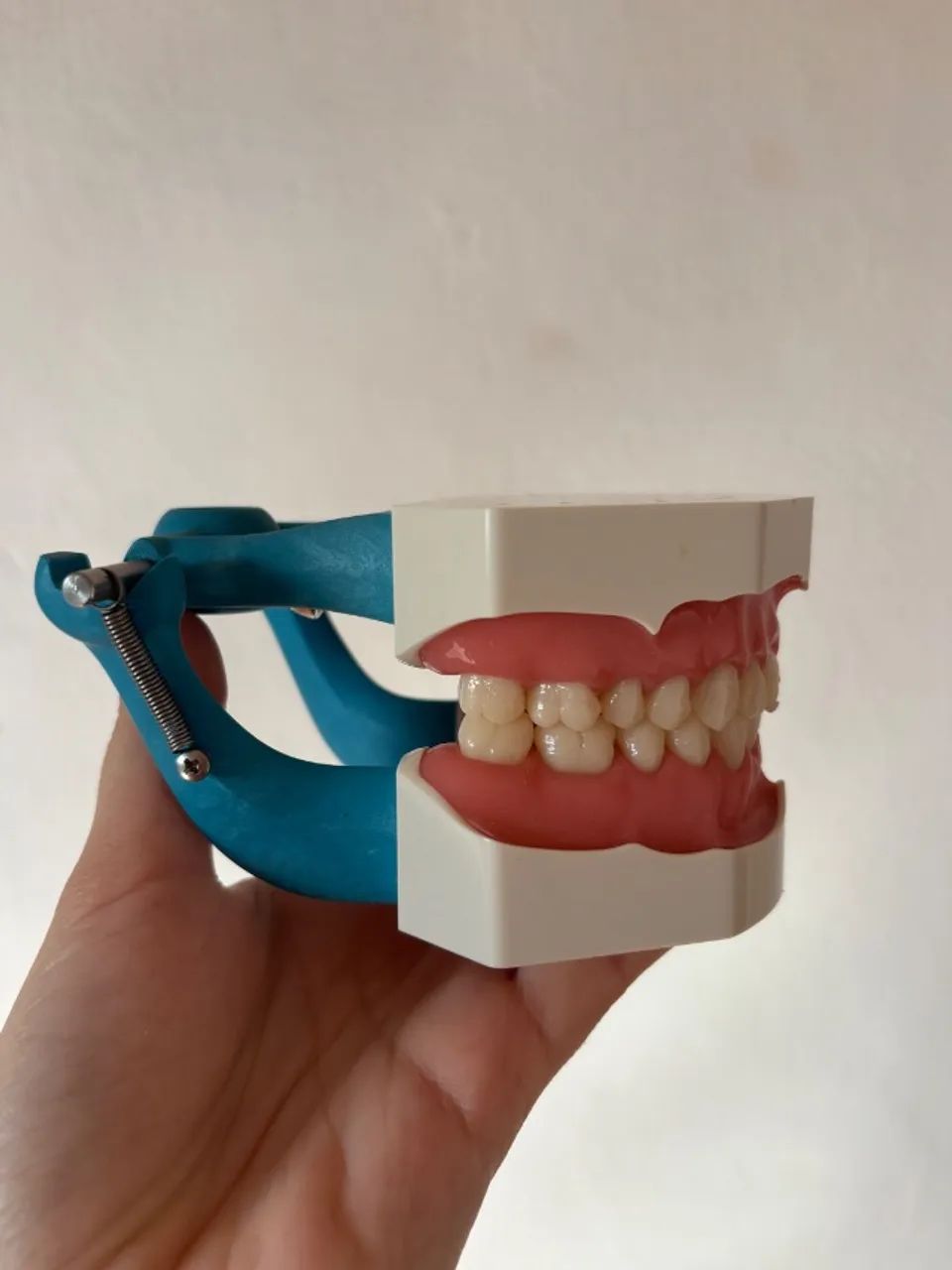 Manequim dentistíca  - Foto 4