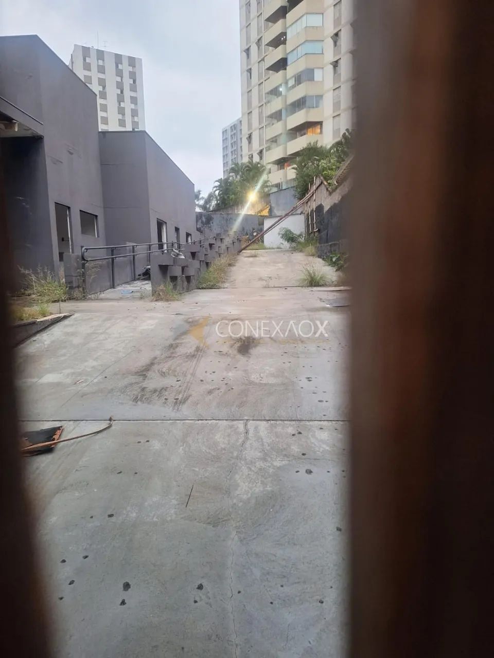 terreno - Cambuí - Campinas - Foto 3