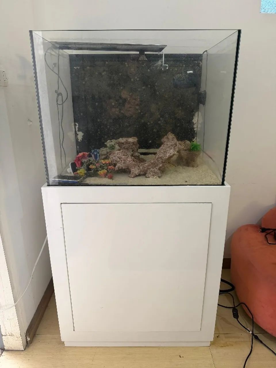 Aquário marinho - Foto 3