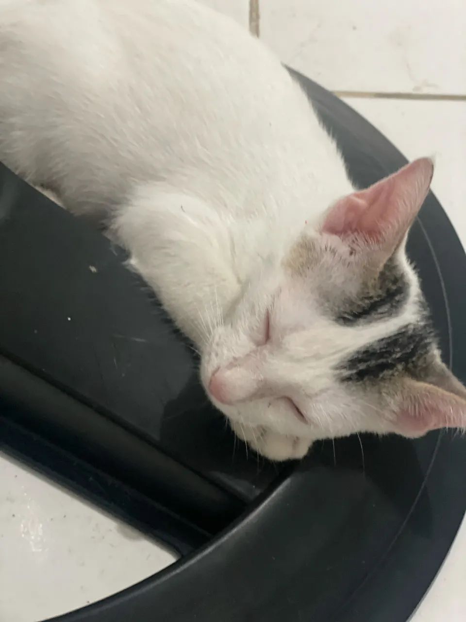 Disponivel para doação  - Foto 2