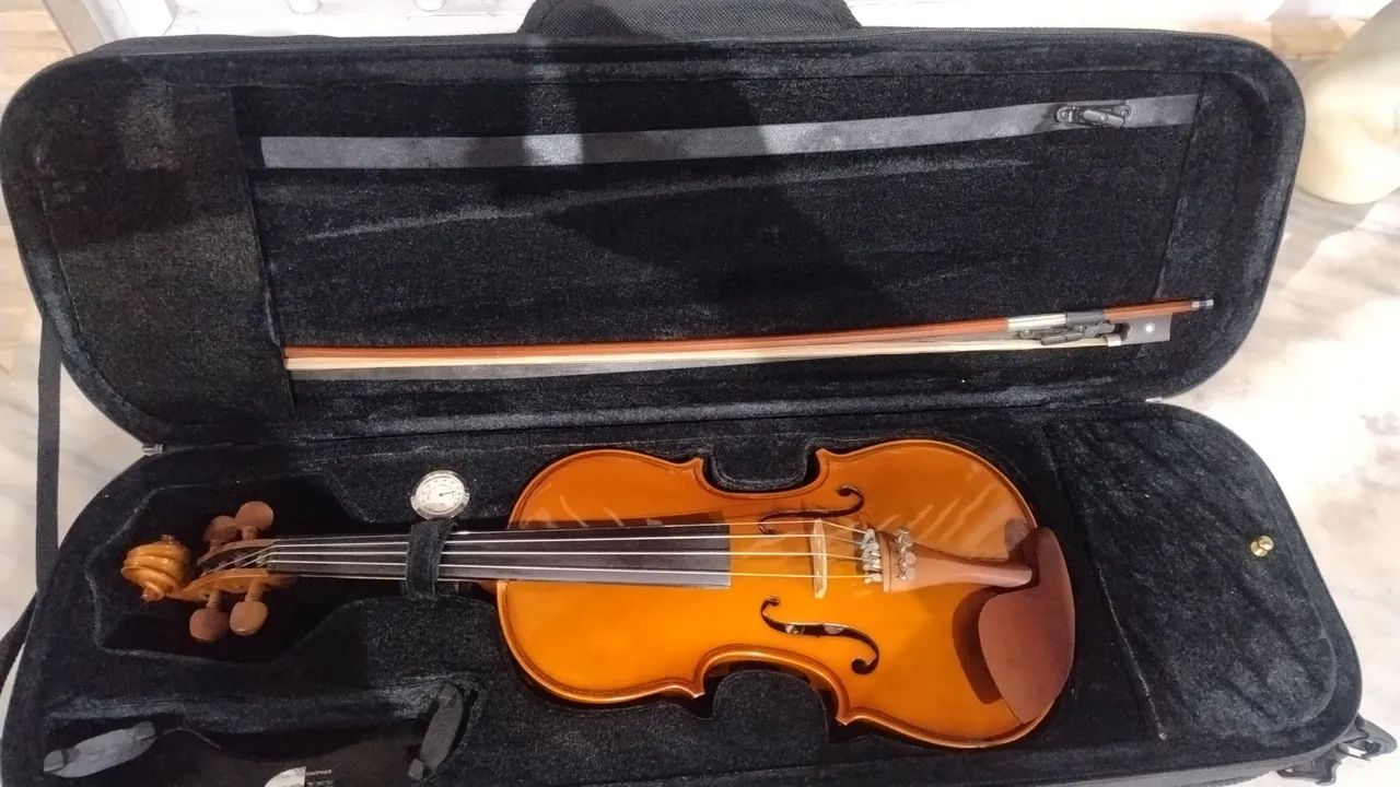 Violino