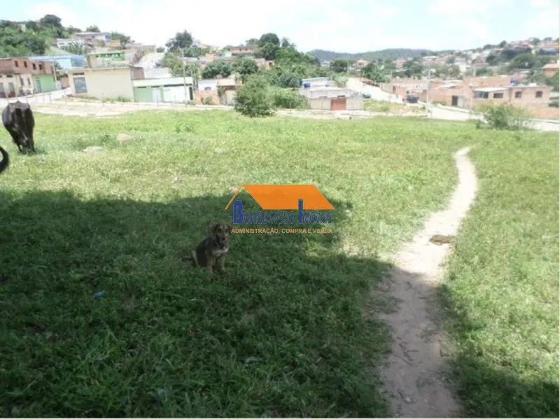 terreno Bairro Santinho - Foto 4