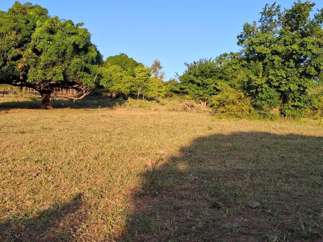 Sitio em palmeira dos indios - Foto 5