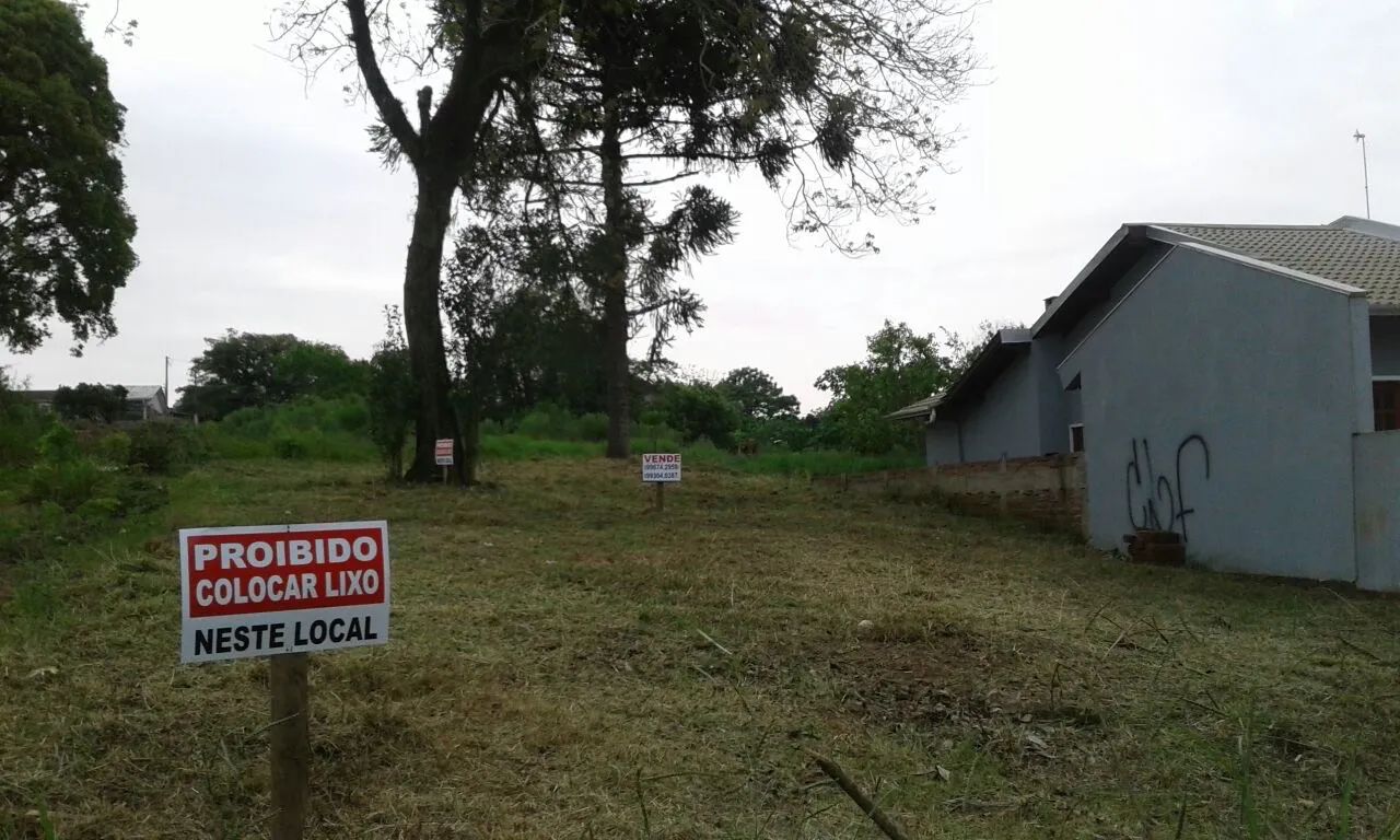 Foto - Nova Santa Rita - 
