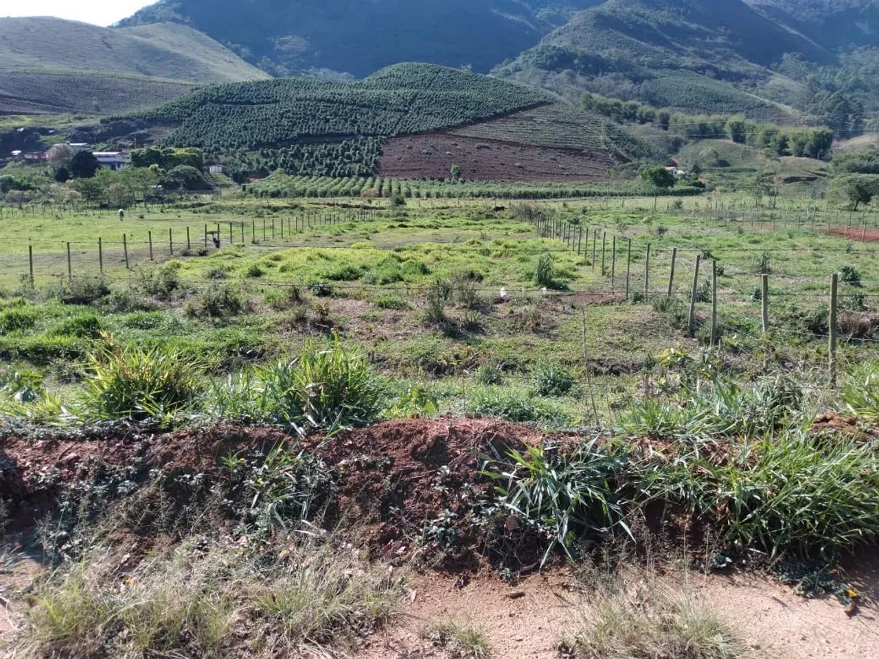 Terreno Minas Gerais  - Foto 3