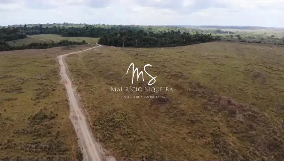 fazenda Rondon do Pará - Foto 5