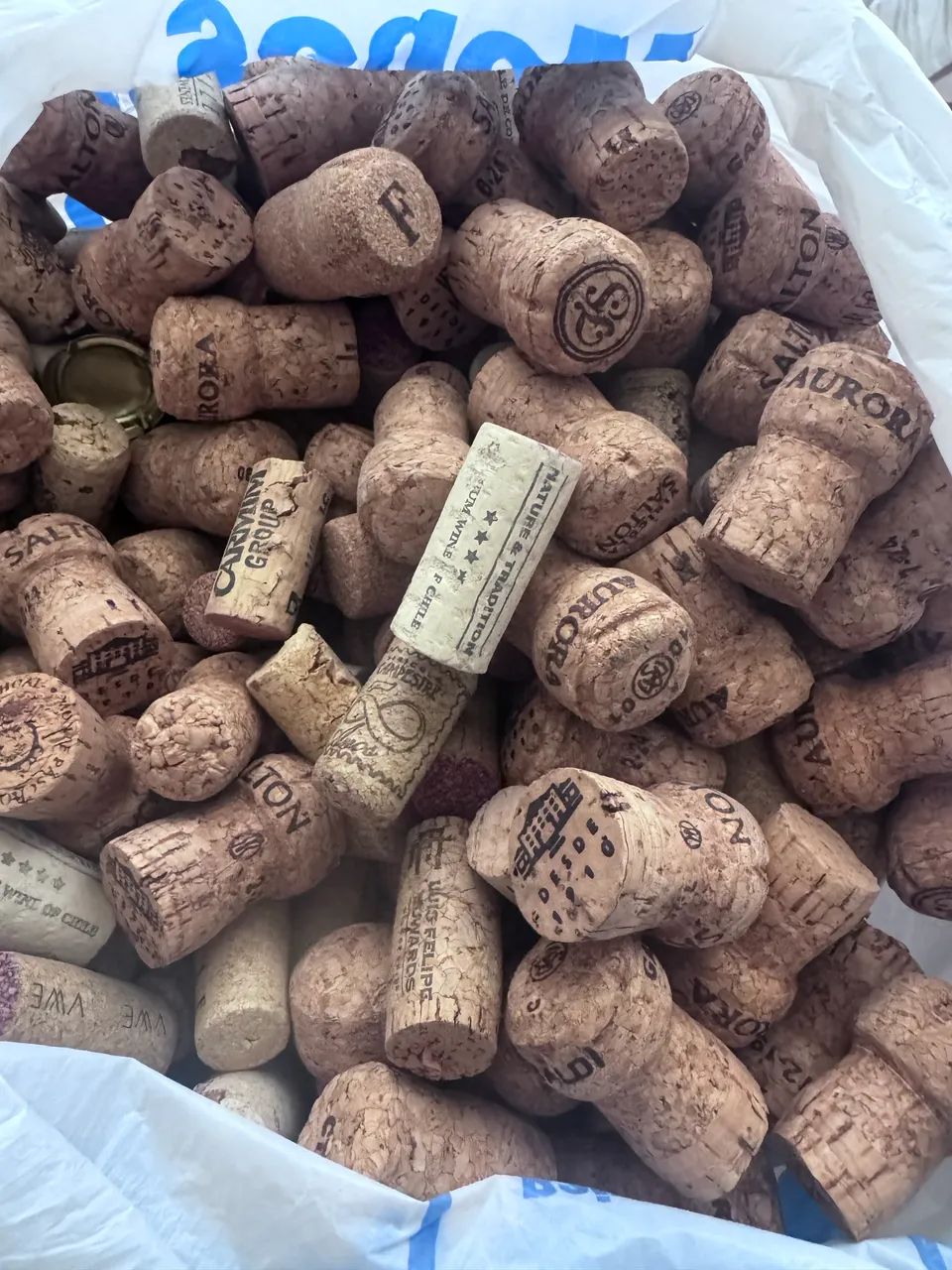 Rolhas vinho e espumante  - Foto 2