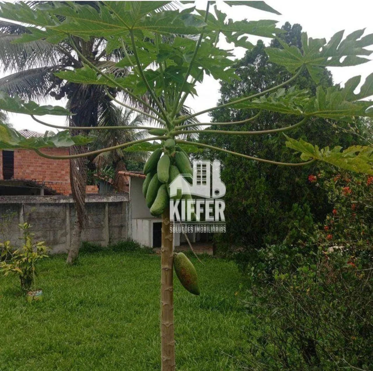Sítio para alugar, 9945 m² por R$ 8.079,01/mês - Manoel Ribeiro (Ponta Negra) - Maricá/RJ - Foto 5