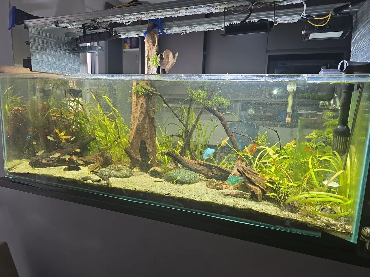 Aquario 90x30x30 - Foto 3
