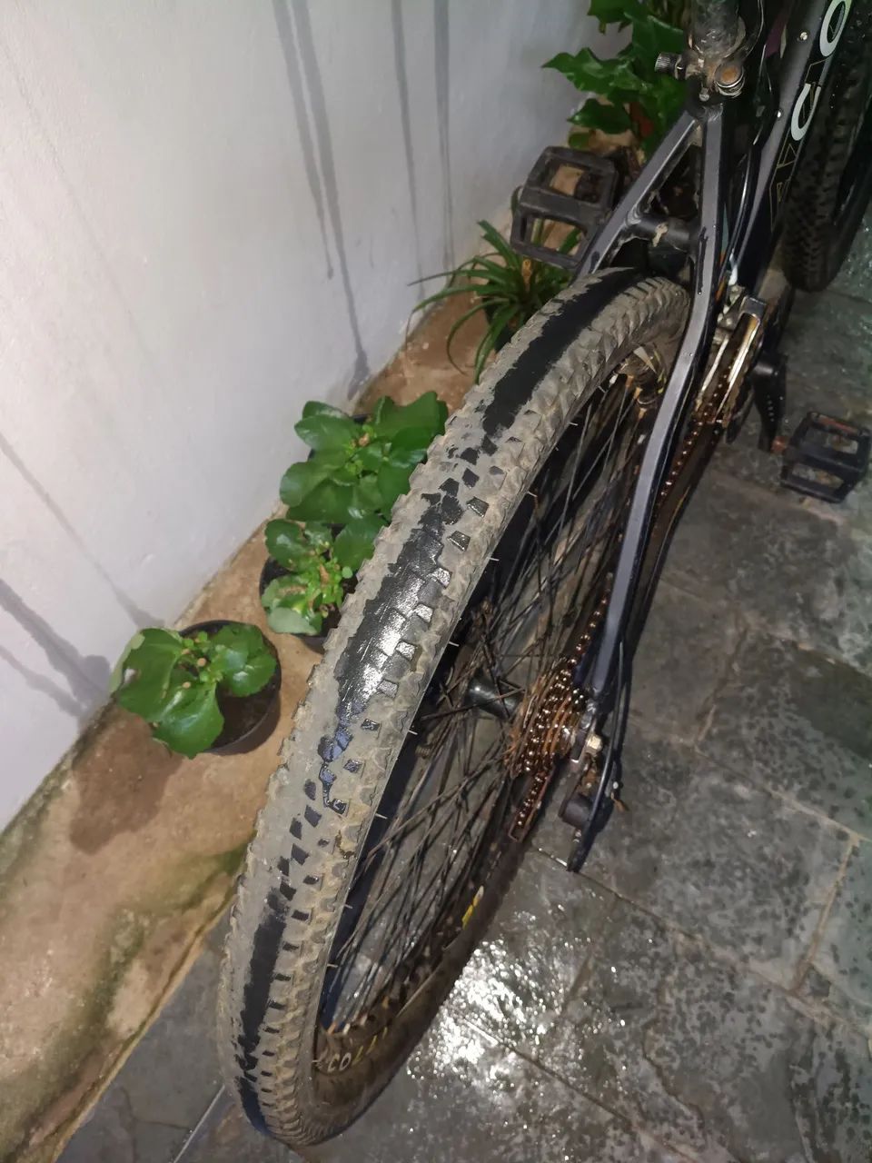 Bike coli - Foto 4