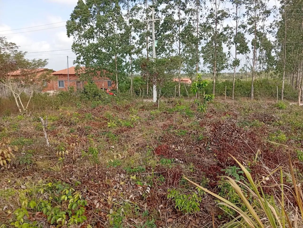 Terreno 25m quadrado planu