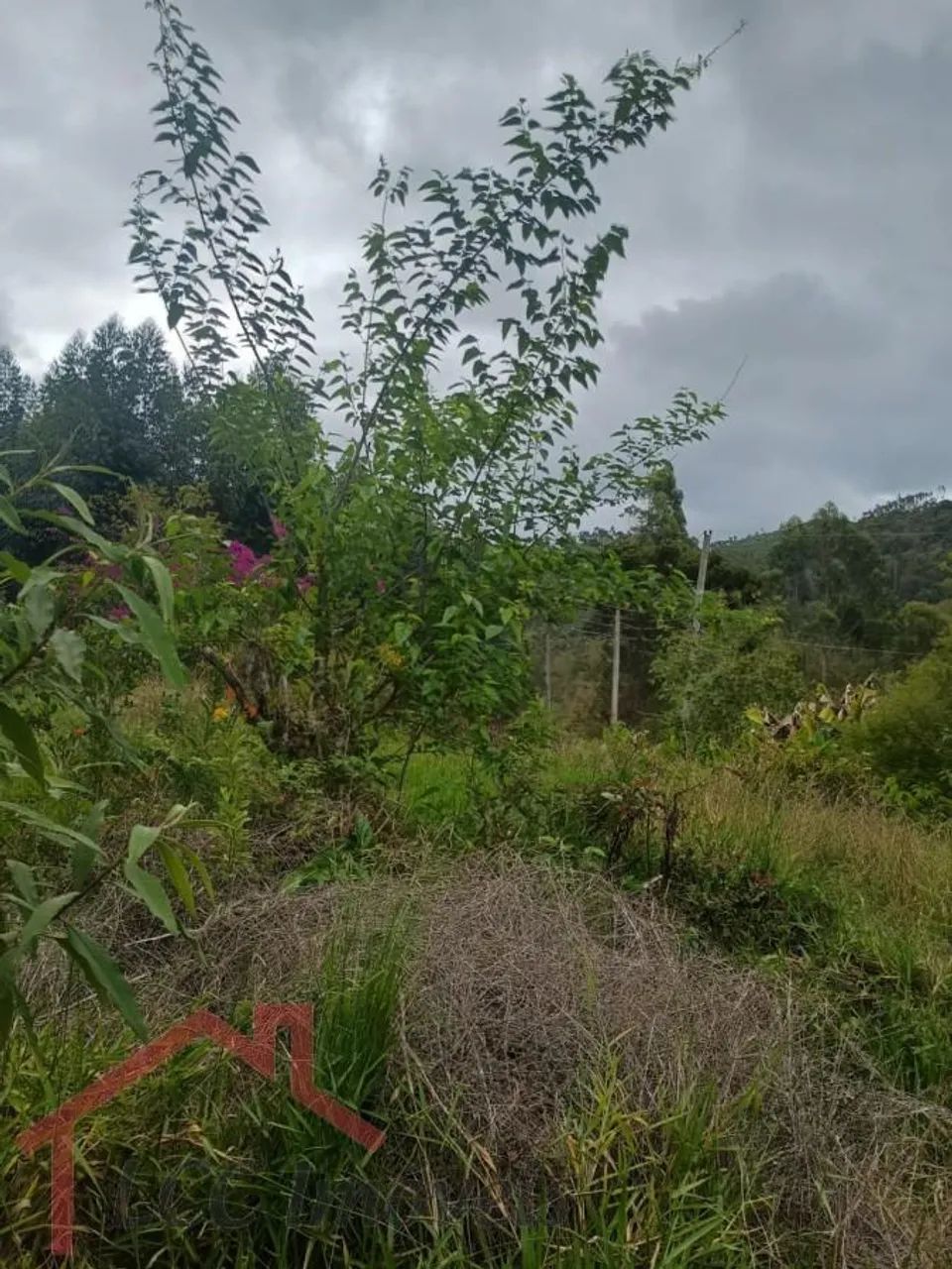 Terreno Rural para Venda em Salesópolis, Paraitinguinha - Foto 3