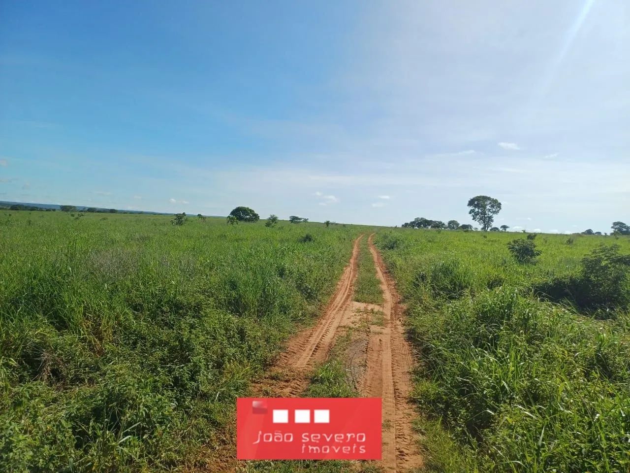 Fazenda para Venda em Tesouro