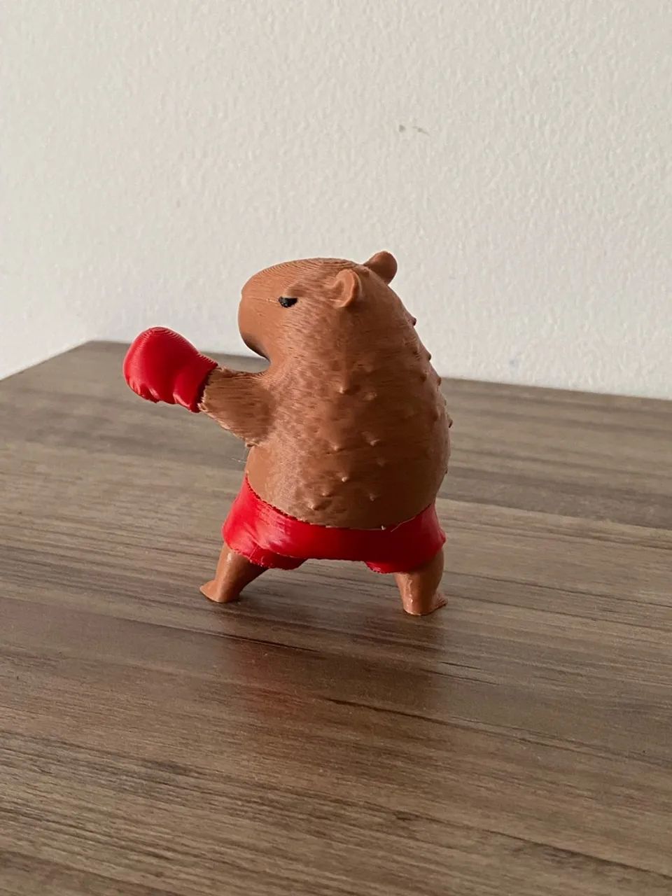 Capivara Boxeadora - Foto 3
