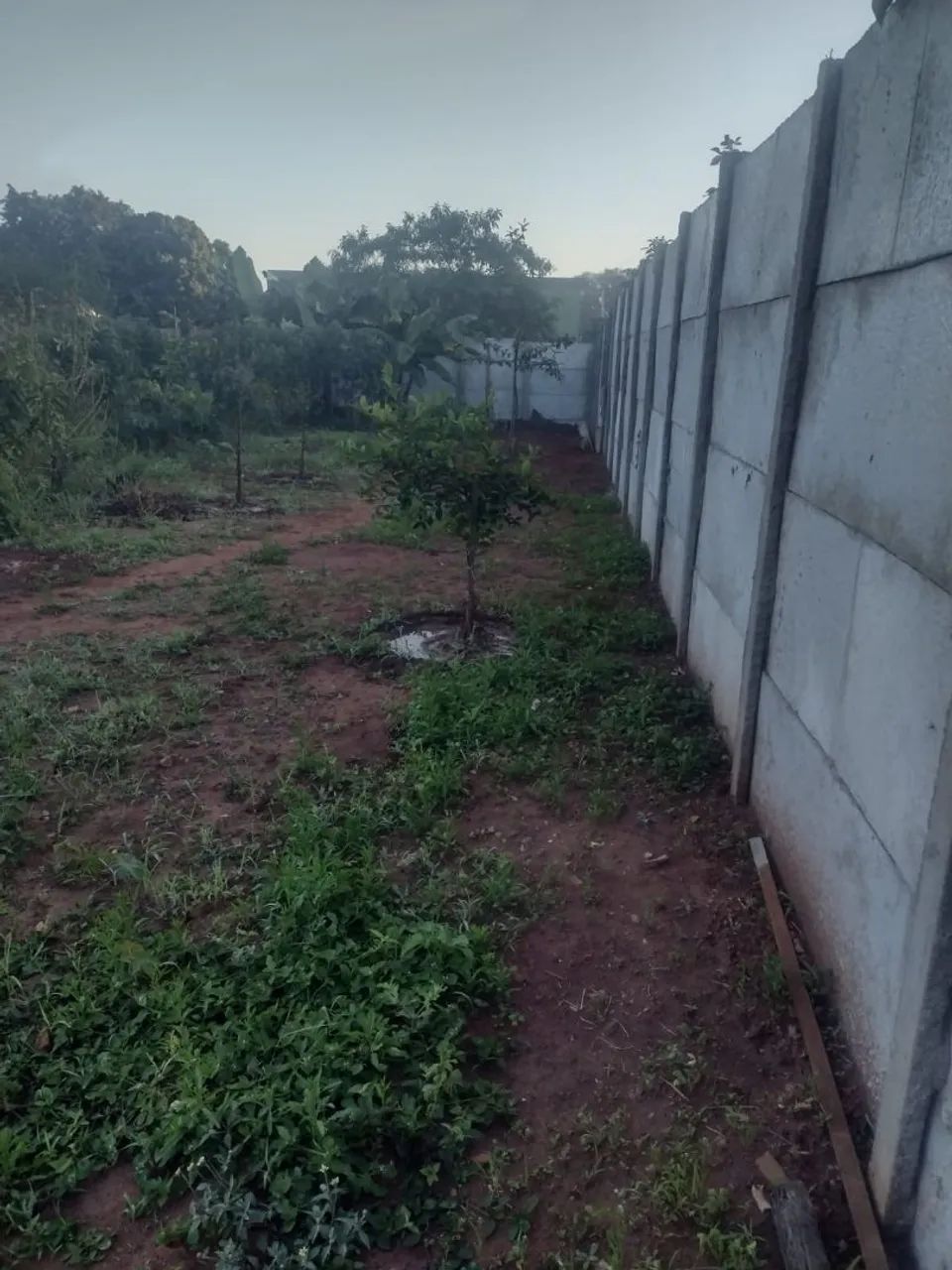 Chácara no Sairá com entrada no antigo posto Luzia  - Foto 5