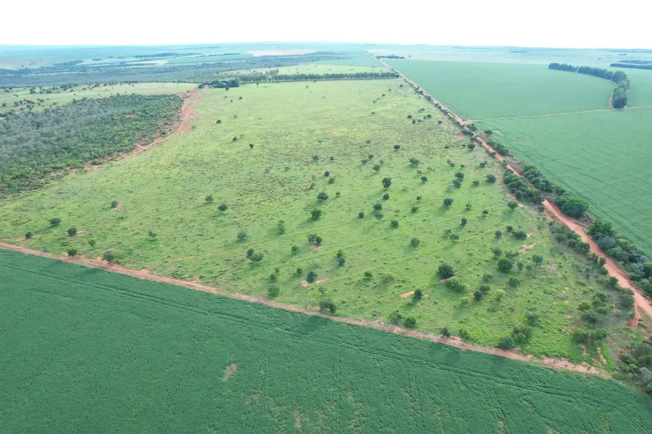 CÓD456  Fazenda 800 ha Dupla Aptidão | Rio Verde/MS - Foto 3