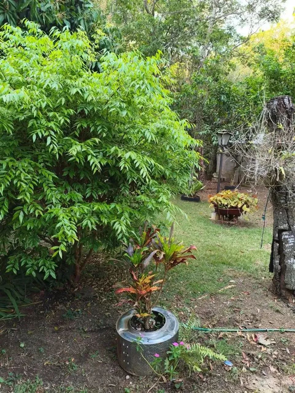 Térrea para aluguel e venda com 650 metros quadrados com 4 quartos - Foto 3