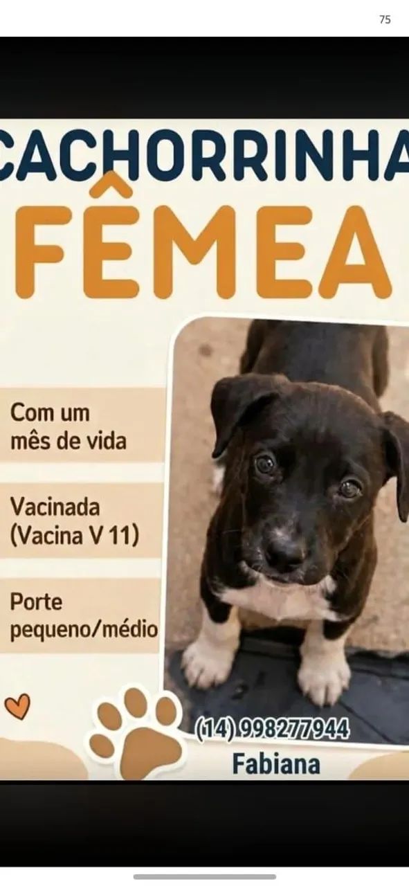DOAÇÃO 