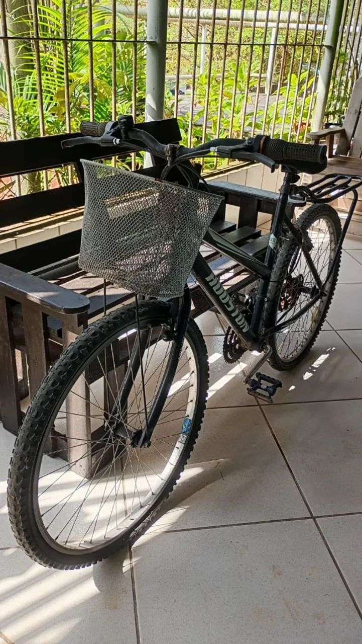 CAMELO VOADOR - Foto 3