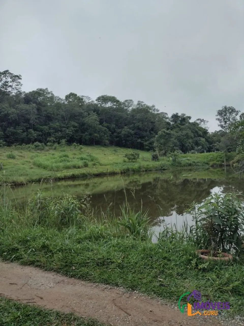SÍTIO - FEITAL - SP - Foto 5