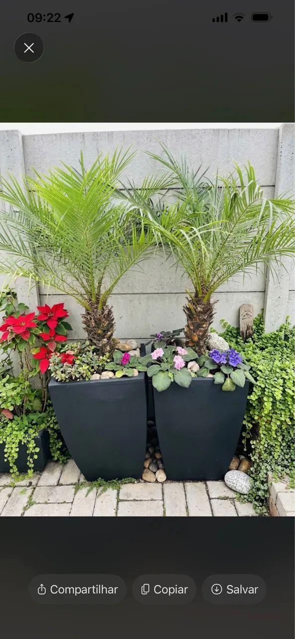 Vazos decorativos e de jardinagem  - Foto 4