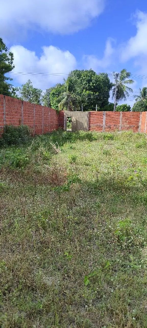 TERRENO NA AVENIDA VALE ALBINO  - Foto 4