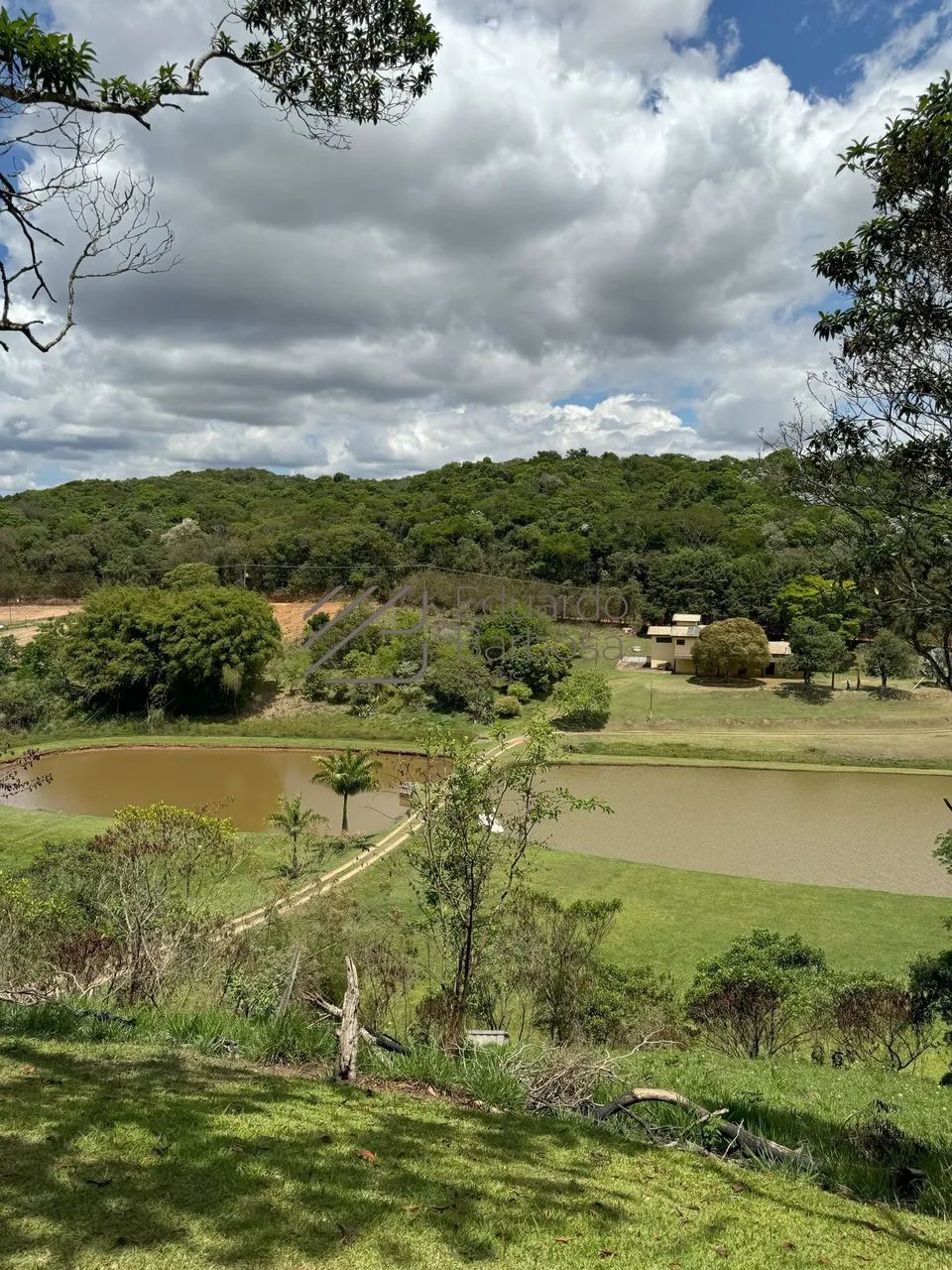 Sítio com 3 lagos e 65 mil M² na Cidade de Jarinu - Foto 4