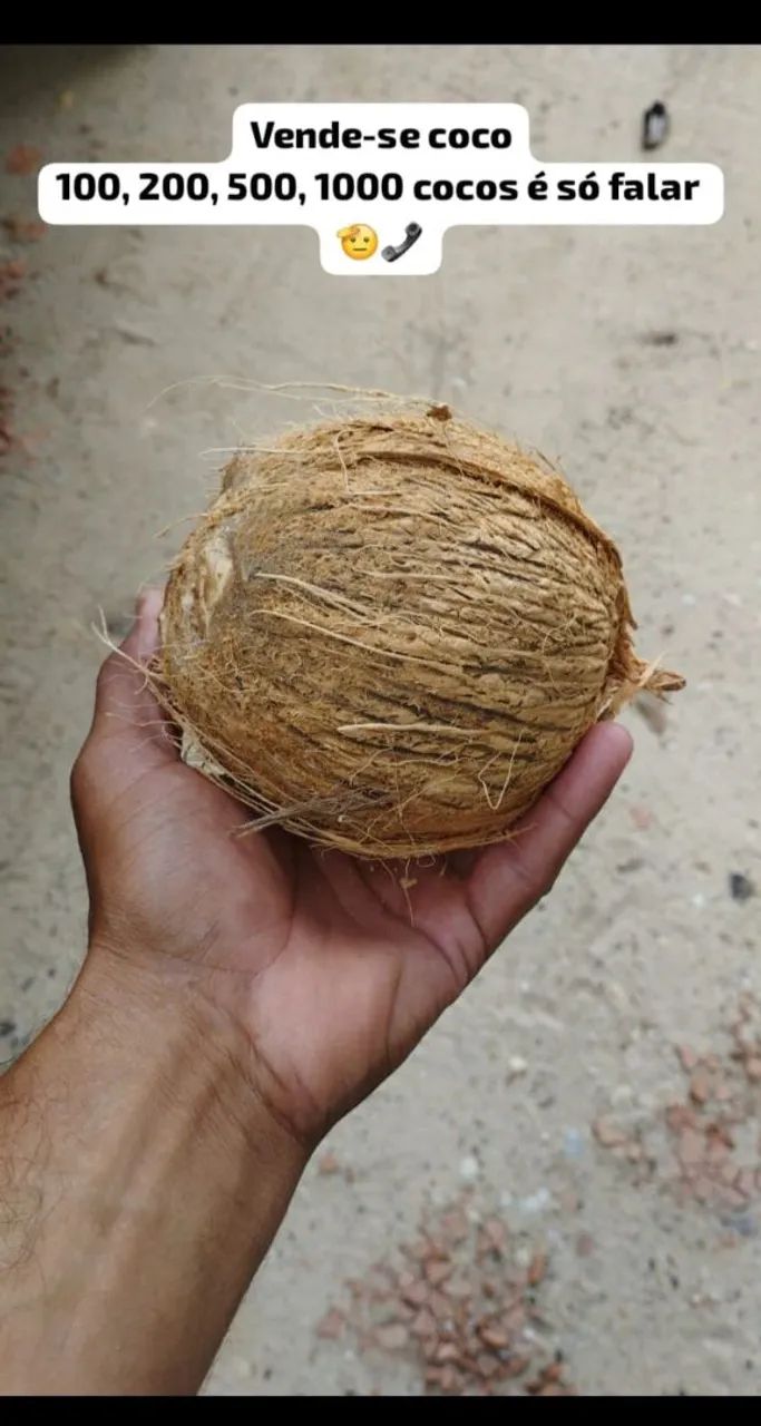 Vende-se coco verde e coco seco 