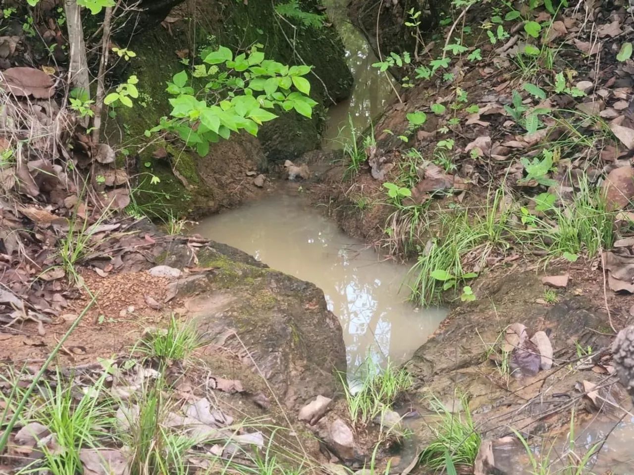Fazenda para Venda em Aurora do Tocantins, Zona Rural - Foto 4