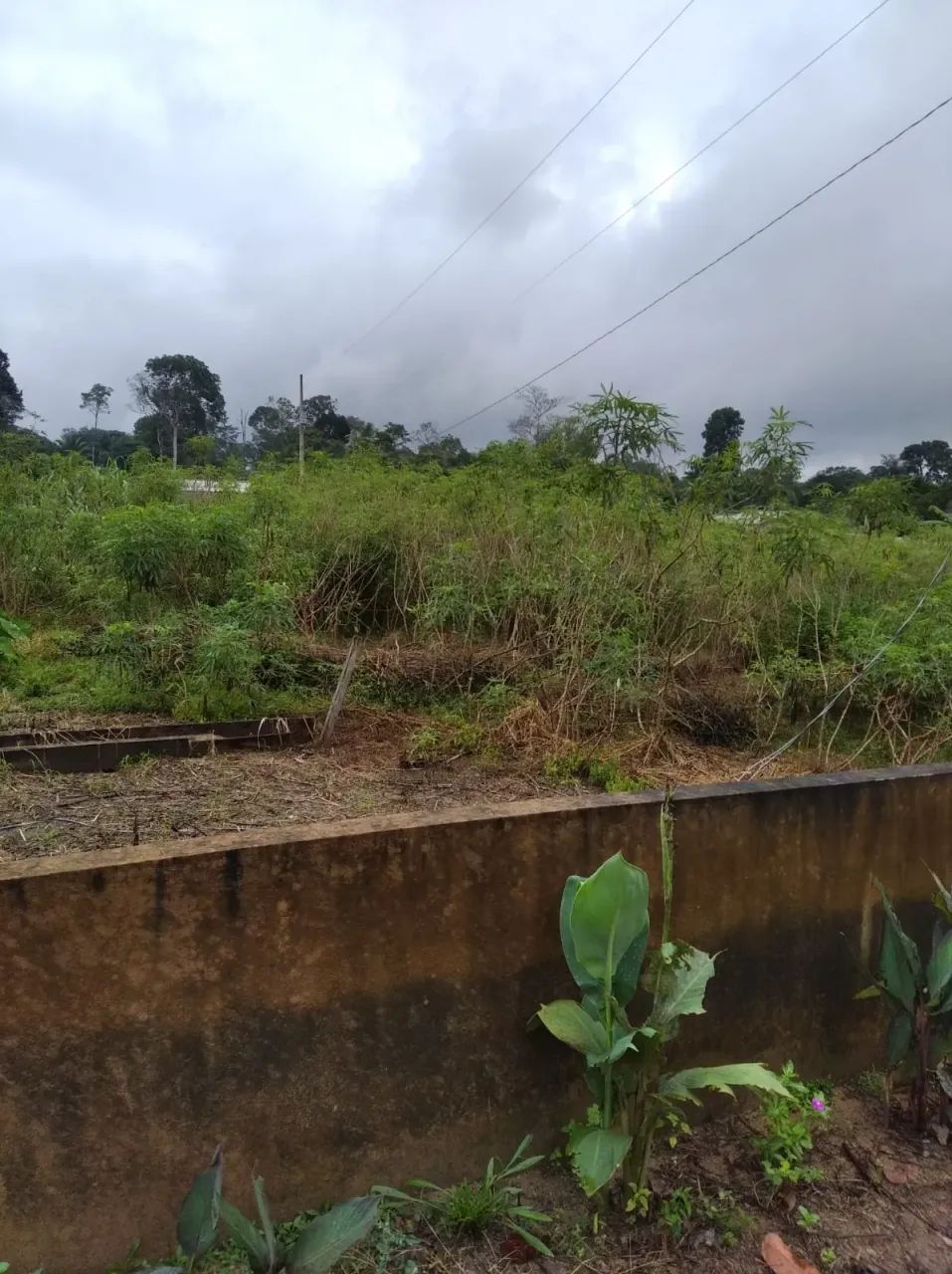 Chácara de 27000m² em Candeias - Foto 4