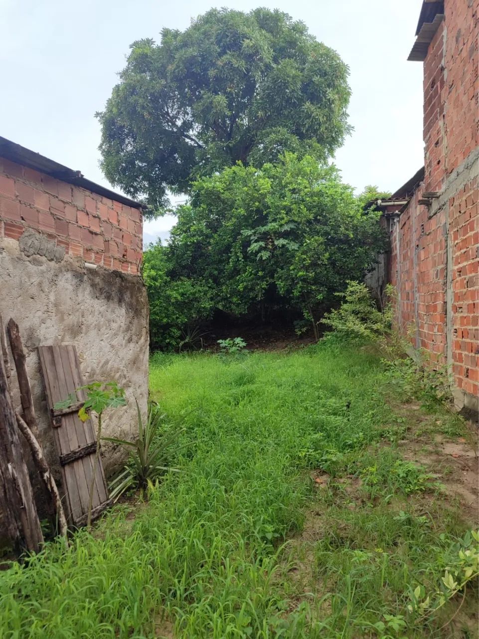 Ponto Comercial + Terreno - Terra nova  - Foto 2