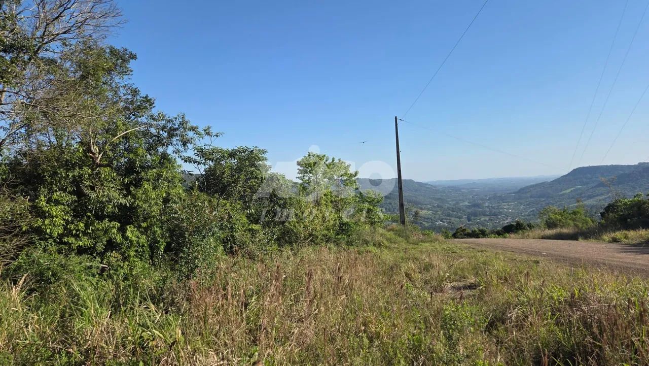 SITIO COM LINDA VISTA PARA PICADA CAFÉ - Foto 2