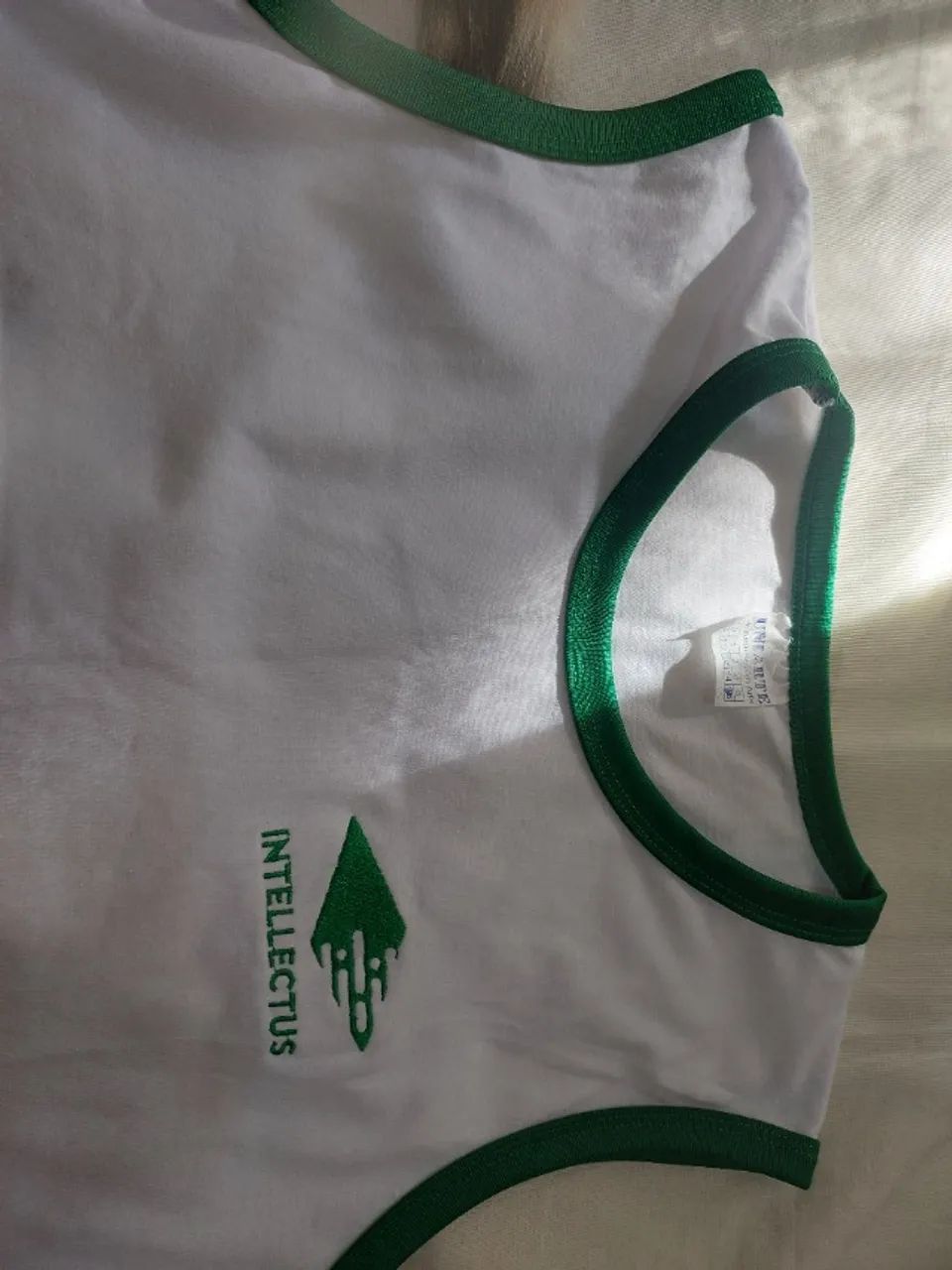 Uniforme intellectus