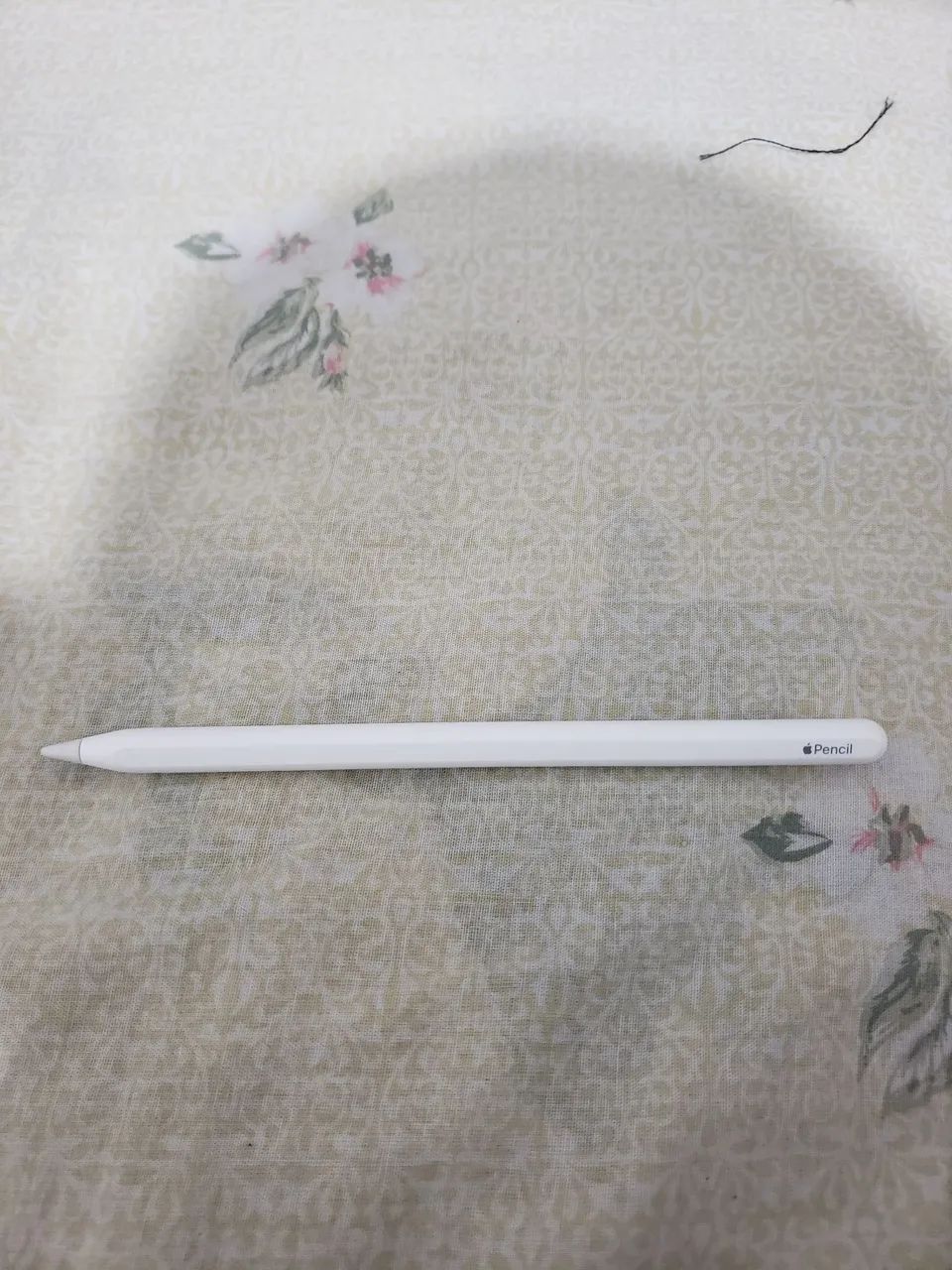 Apple Pencil 2° Geração 