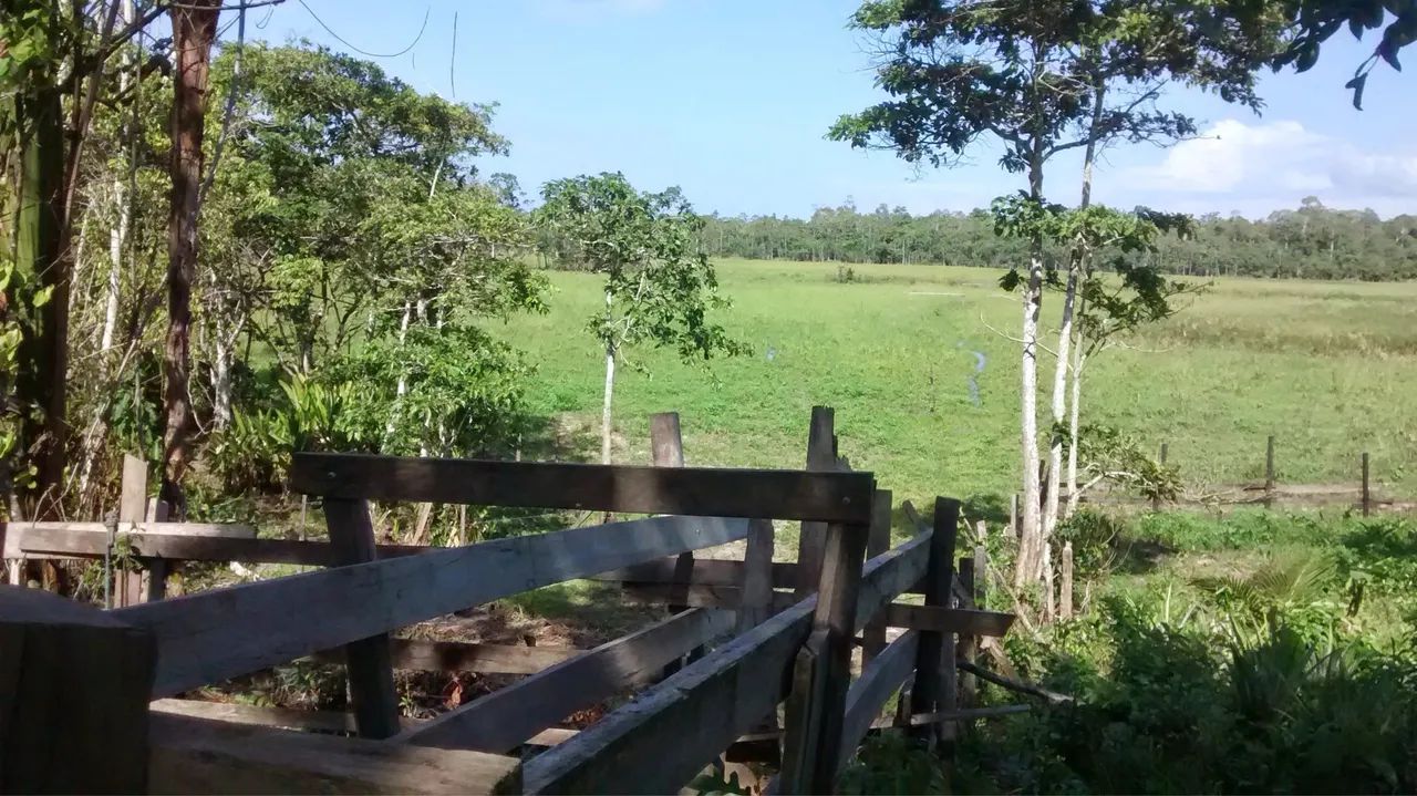 Fazenda em Mazagão Velho-AP - Foto 4