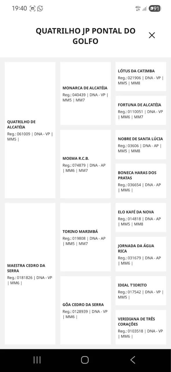 Potro Registrado MM - Foto 4