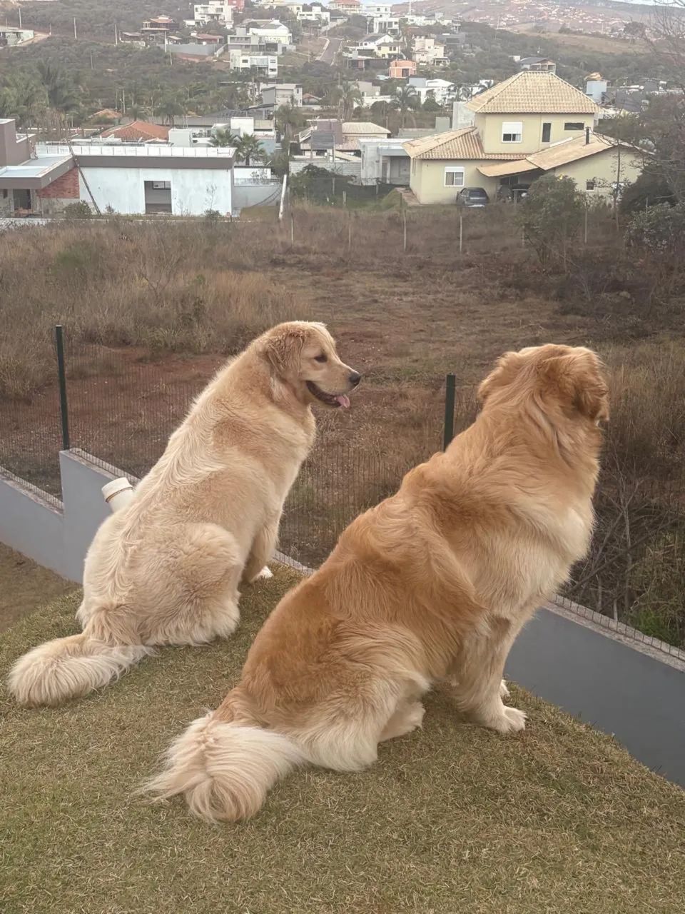 DOAÇÃO RESPONSÁVEL - *