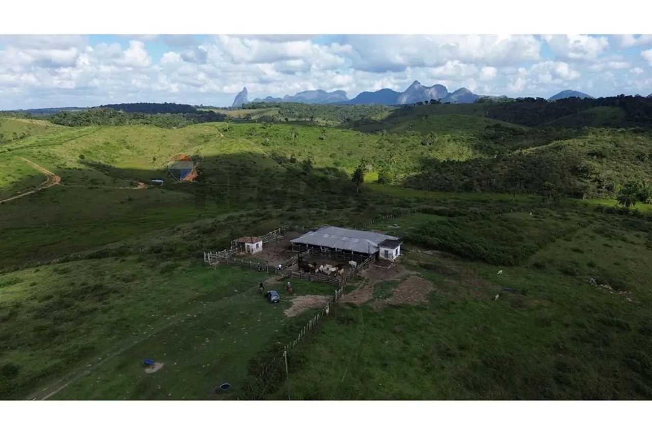 Fazenda Nova Jerusalém - Foto 3