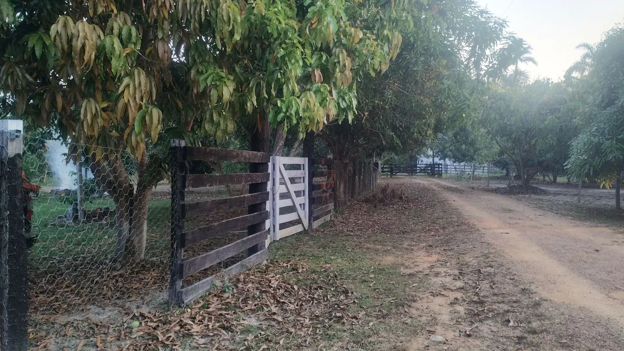 Chácara a venda , no ipixuna  - Foto 3