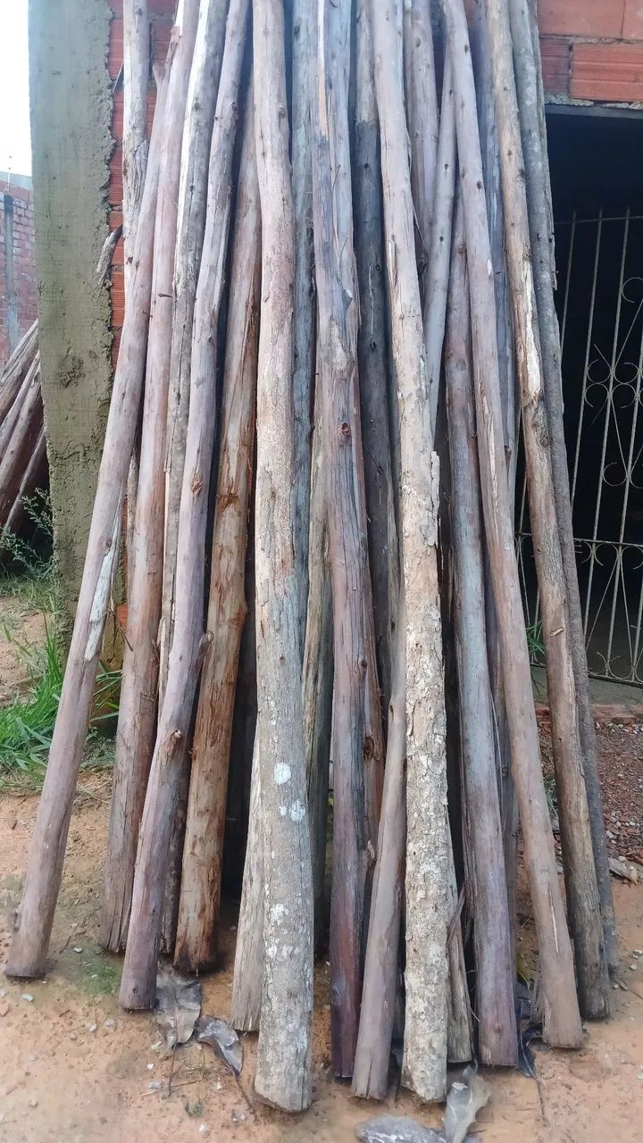 Pontaletes de eucalipto  - Foto 2