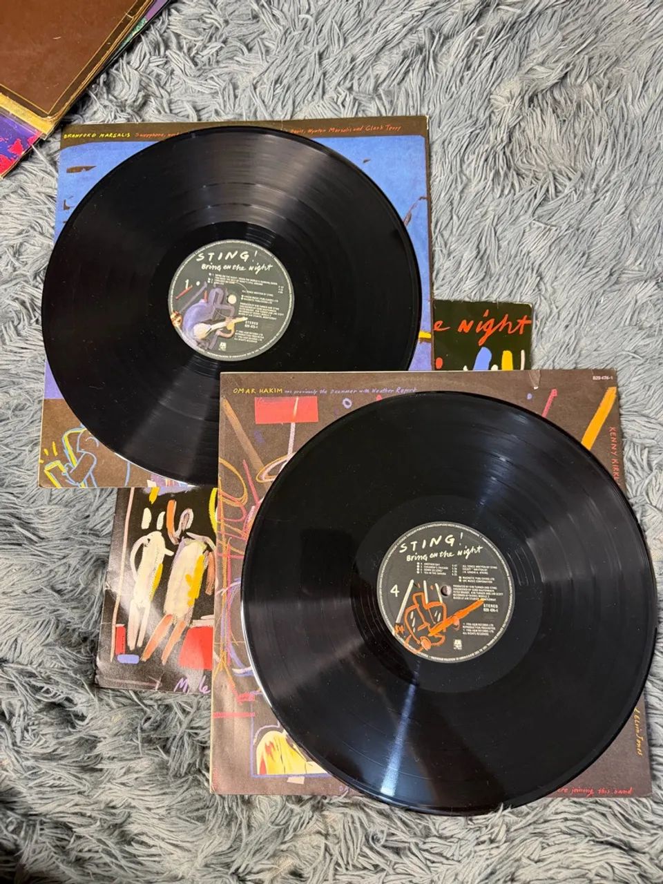 Lp Sting - Bring On The Night - Foto 2